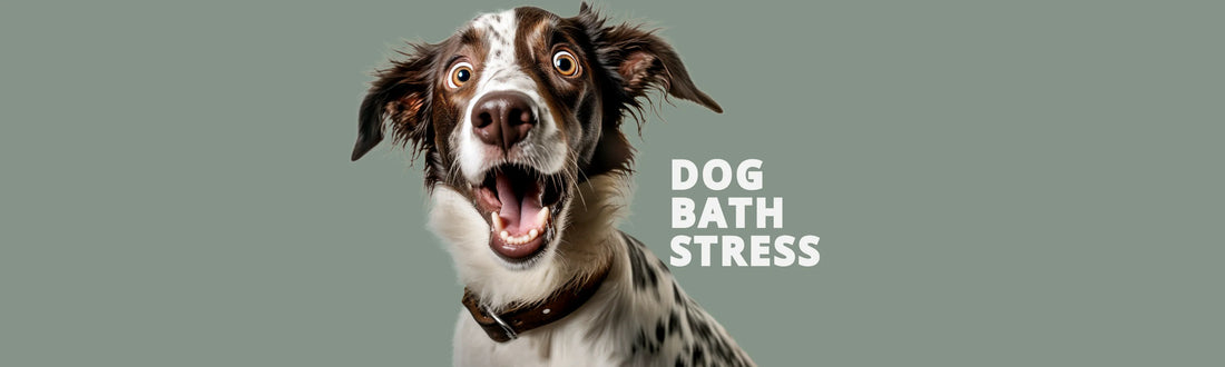 8 Hacks to make Dog Bath time easier, and reduce dog's fears of it!